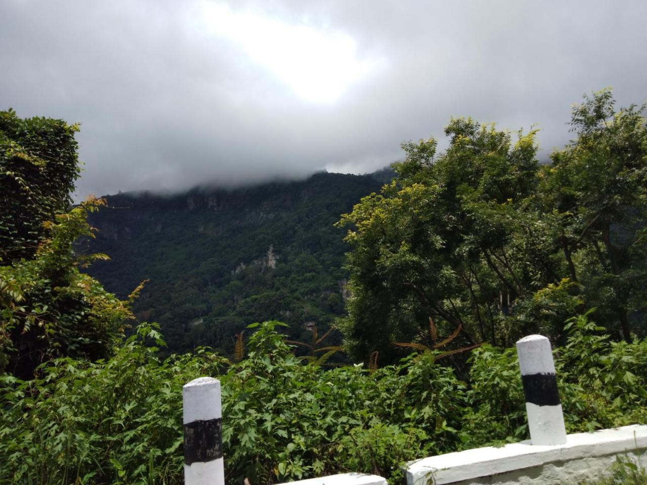 सहारा Drizzle Drop