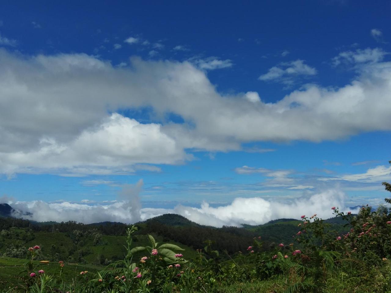 सहारा Drizzle Drop Ooty
