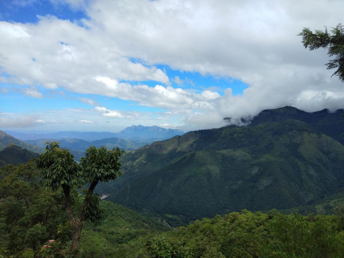 Drizzle Drop सहारा Ooty